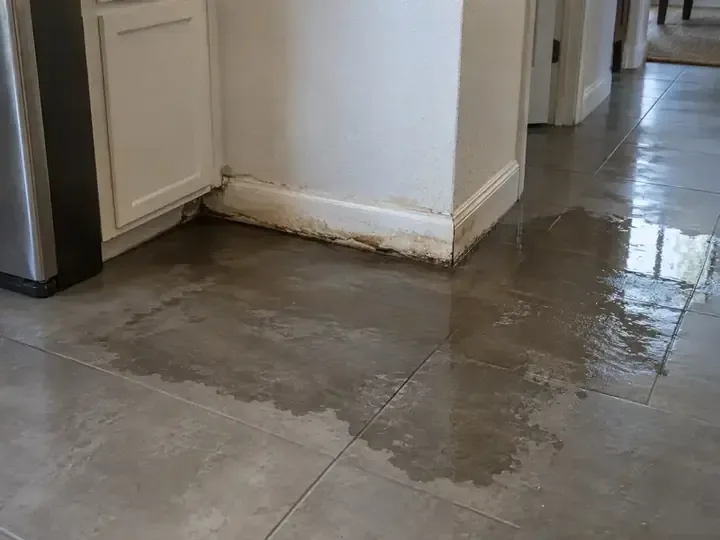Standing water on a floor beside lower cabinets and a refrigerator