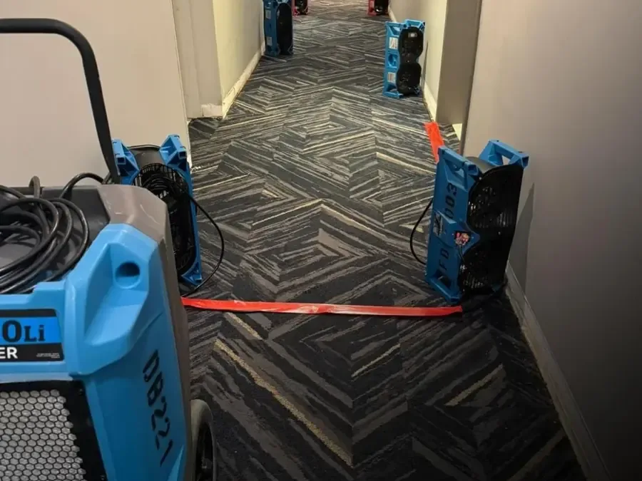 Blue drying units and hoses arranged along a carpeted corridor