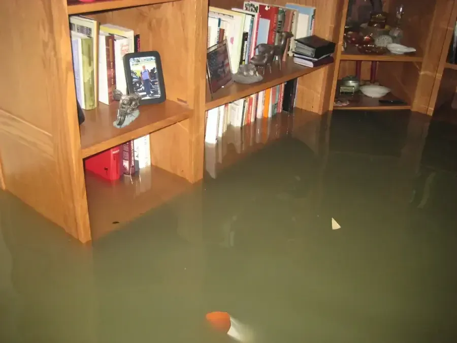 Floodwater surrounding a bookcase inside a furnished room